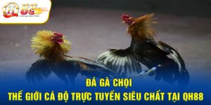 da-ga-choi-thumb